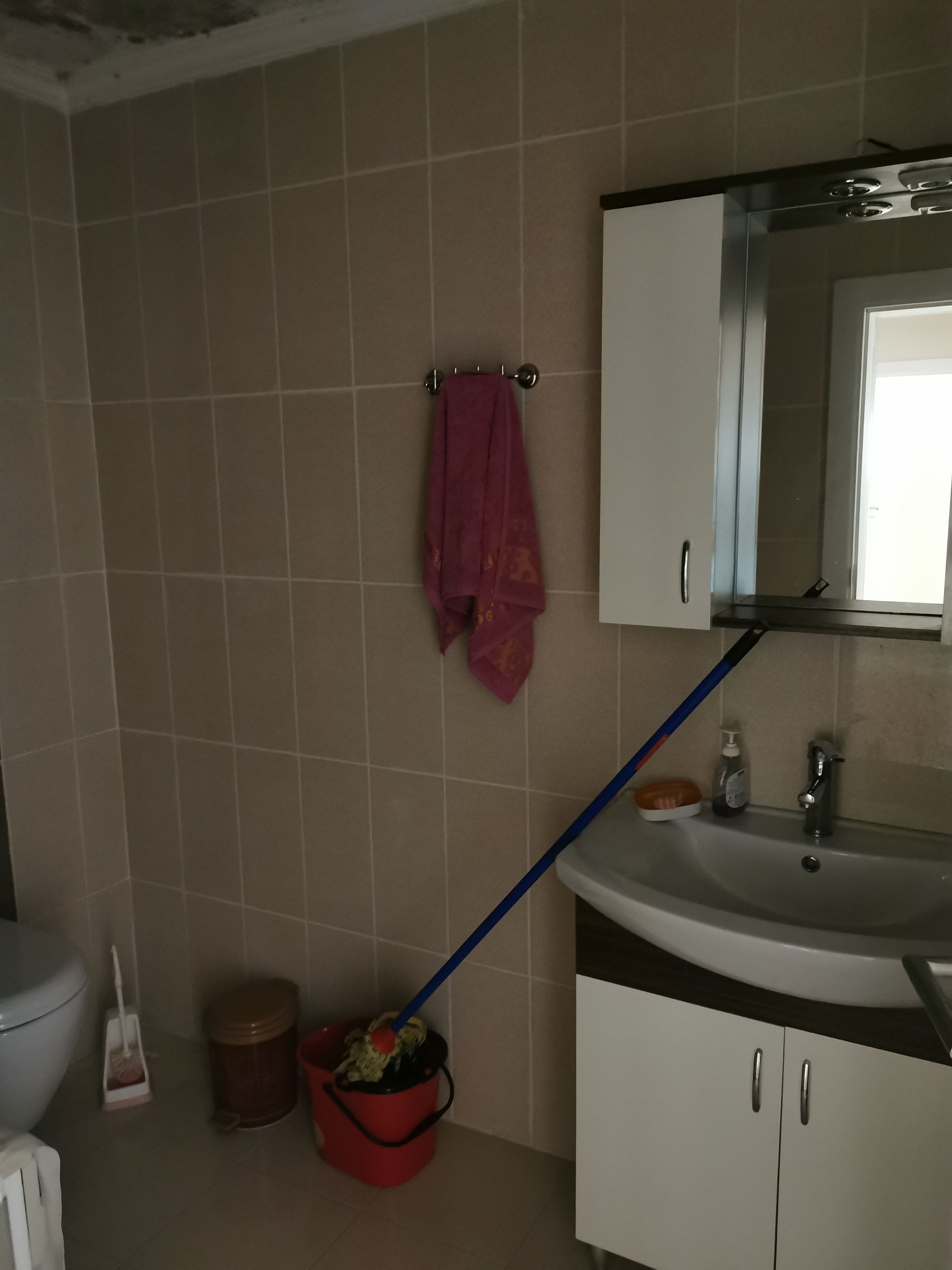 EŞYALI  DAİRE /  ŞİRİNEVLER  / 3+1